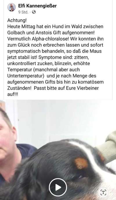 Giftköder-Giftköder-Bild
