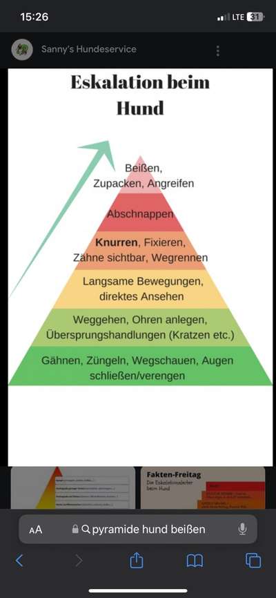 Familienmitglieder anknurren-Beitrag-Bild