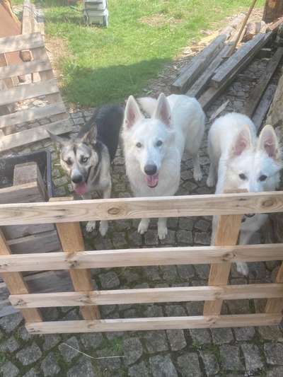 Was hat euch heute gefreut?-Beitrag-Bild