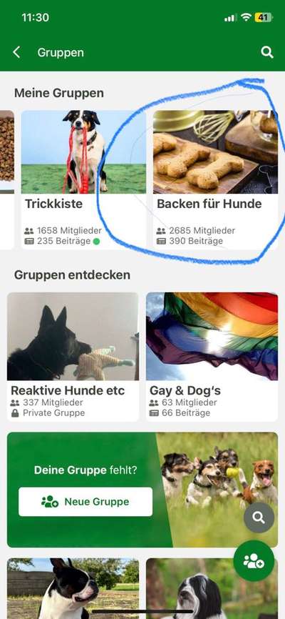 Heute gibt es.....der "ich mach die Leckerlis-Selber-Thread"-Beitrag-Bild