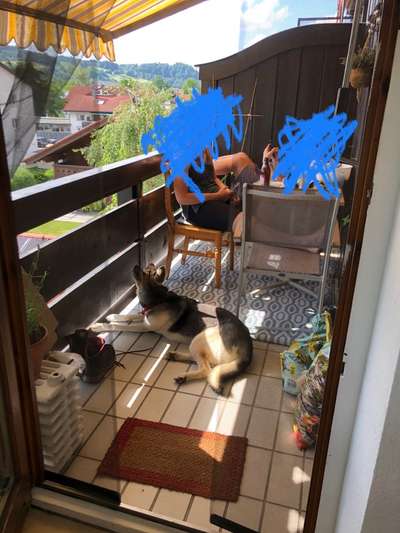 34. Impulskontrollübung "Ruhe an fremden Orten"-Beitrag-Bild