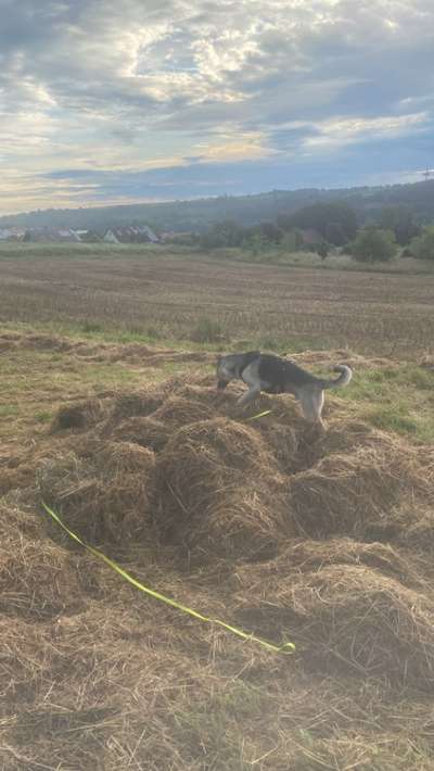 Was hat euch heute gefreut?-Beitrag-Bild