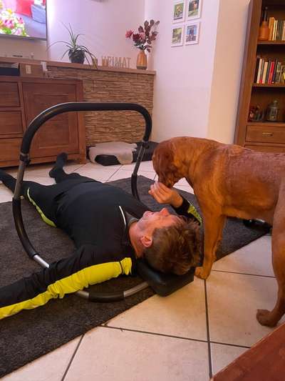 Labradorfans-Beitrag-Bild