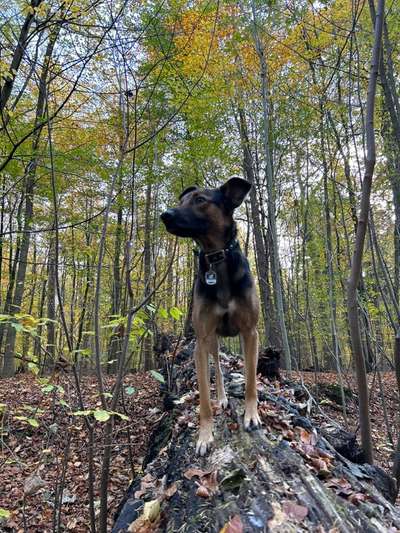 27. Handy Fotochallenge-Beitrag-Bild