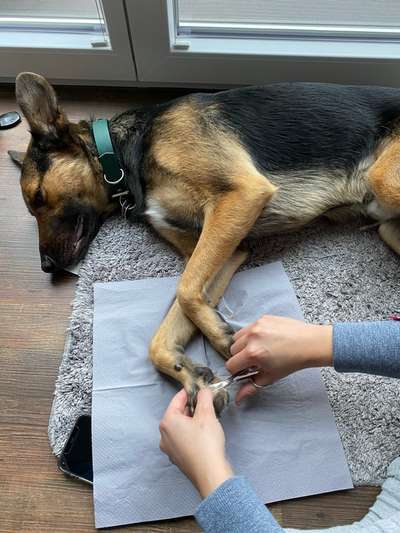 22. Handy Foto - Challenge-Beitrag-Bild