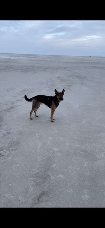 Fotowettbewerb Natur-Beitrag-Bild