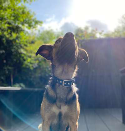 Foto-Challange No.1 - Alles aber nicht die Kamera-Beitrag-Bild