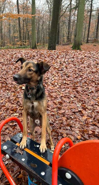 28. Handy-Fotochallenge - Damals und heute-Beitrag-Bild