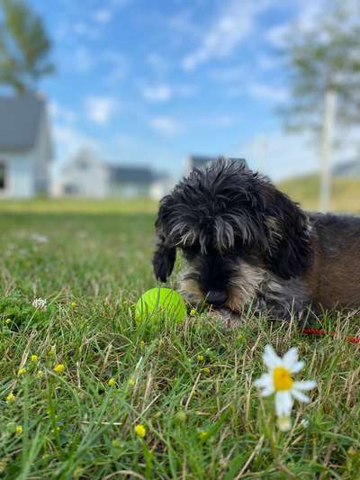 21. Farben / Foto Challenge - Neon / Leuchtfarben-Beitrag-Bild