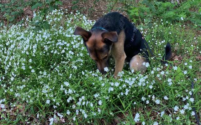 Handy-Foto-Challange Nr.9-Beitrag-Bild