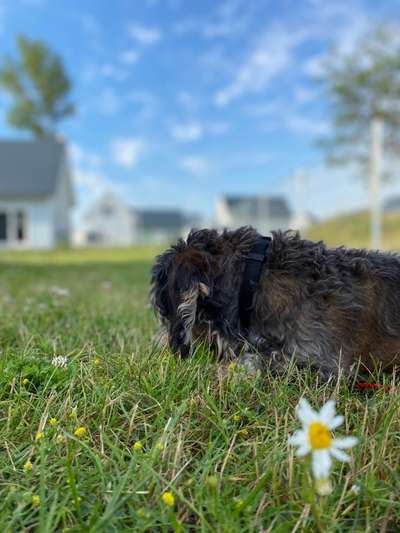 Foto-Challange No.1 - Alles aber nicht die Kamera-Beitrag-Bild