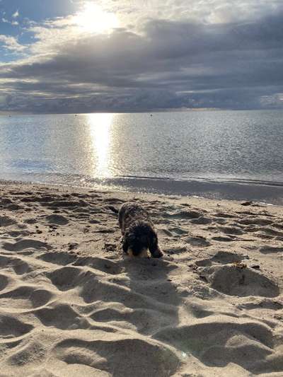 Fotochallenge Nr. 94 It's summer time-Beitrag-Bild