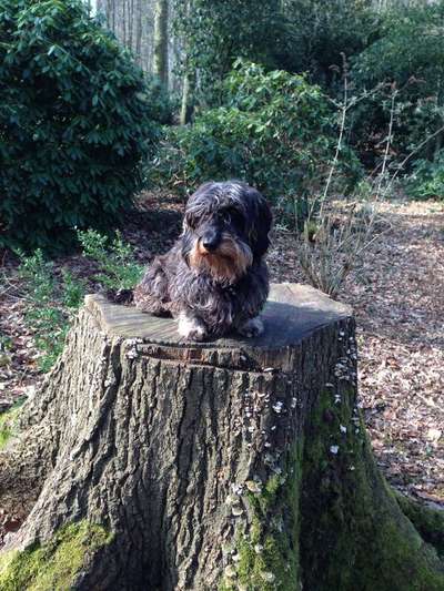 27. Handy Fotochallenge-Beitrag-Bild