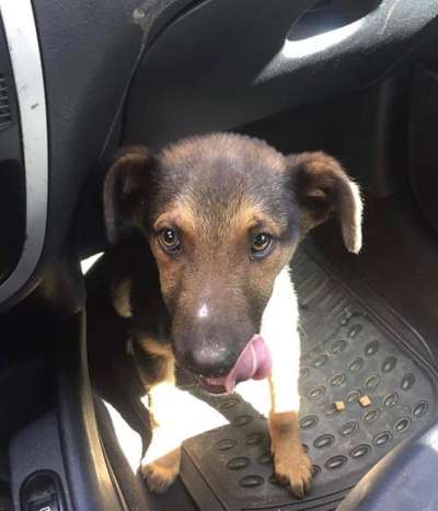 28. Handy-Fotochallenge - Damals und heute-Beitrag-Bild