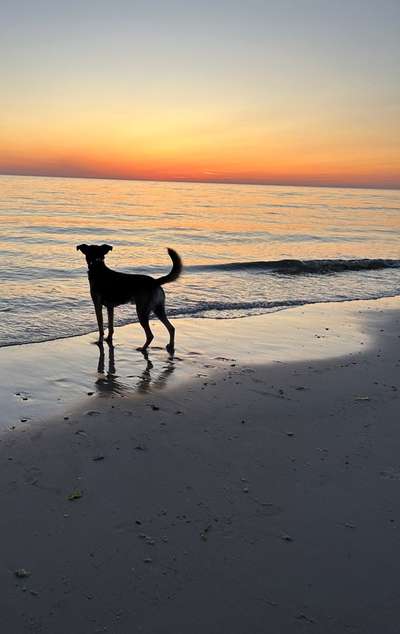 18. Farben Fotochallenge: Sonnenuntergang-Beitrag-Bild