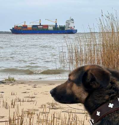 56. Handy Foto Challenge - Grosse Maschinen-Beitrag-Bild