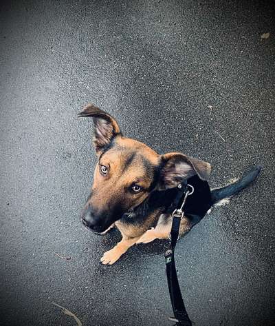 Von oben-Beitrag-Bild