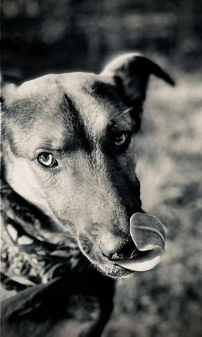 Foto-Challenge 76: Foto in Schwarz-Weiss-Beitrag-Bild
