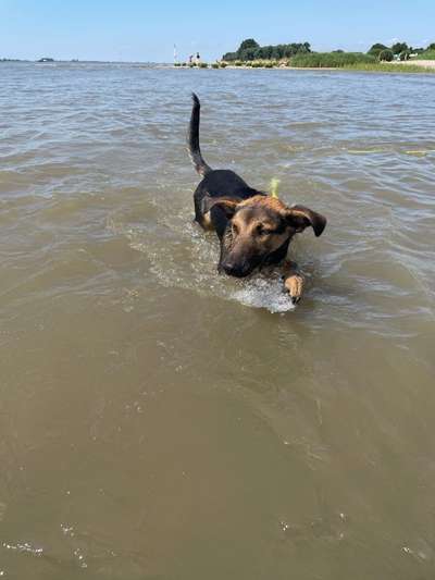 35. Handy Foto Challenge - Das nasse Element-Beitrag-Bild