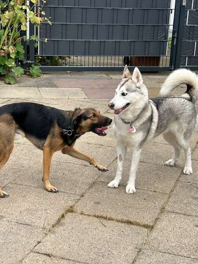 FOTO CHALLENGE Thema ,,durchdrehen"-Beitrag-Bild