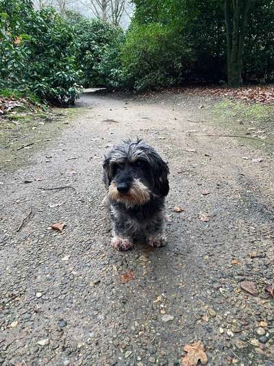 Lieblingsbild-Beitrag-Bild