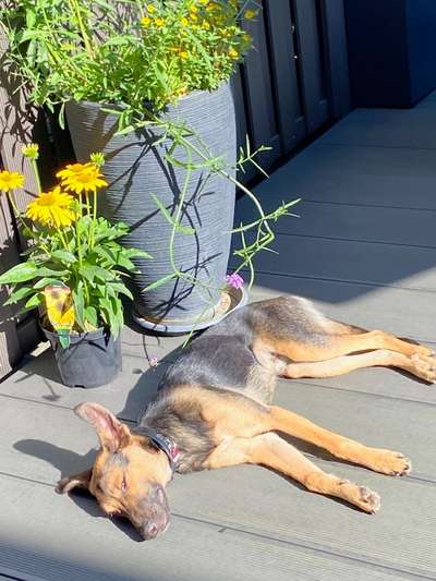 4. Lustiger Schlafplatz-Beitrag-Bild