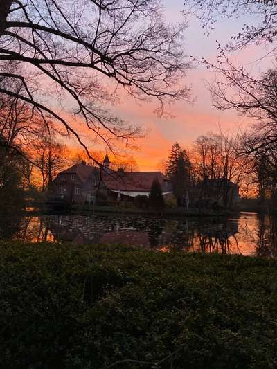 Die wunderschöne Welt mit Hund.-Beitrag-Bild