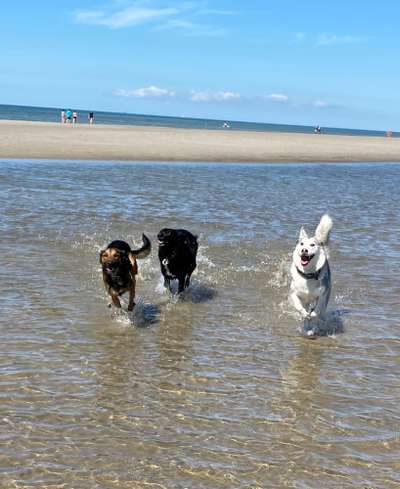 Foto Challenge Nr.: 115-Beitrag-Bild