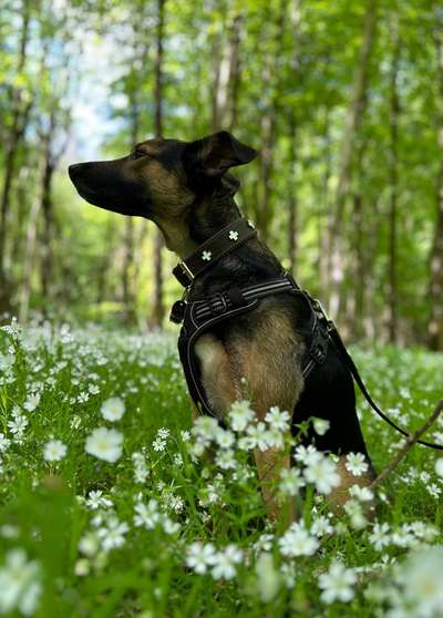 19. Farben  Fottochallenge :
Lieblingsfarbe-Beitrag-Bild