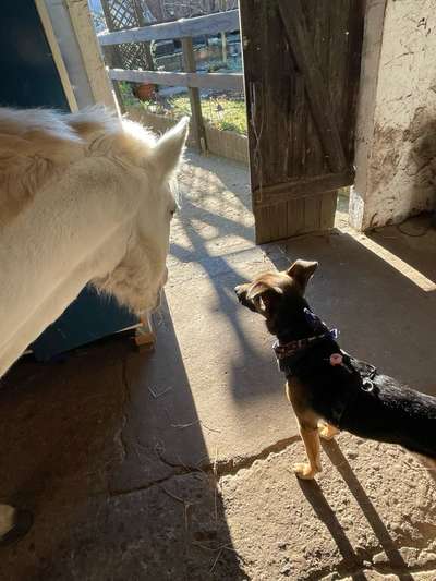 Lieblingsbild-Beitrag-Bild