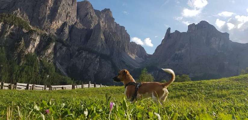 Fotowettbewerb Natur-Beitrag-Bild