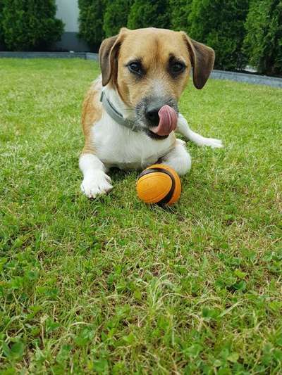 Tongue Out Tuesday-Beitrag-Bild