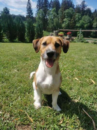 Das beste grinsefoto-Beitrag-Bild