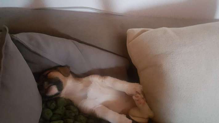 Fotochallange Nummer 5-Beitrag-Bild