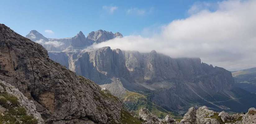 Die wunderschöne Welt mit Hund.-Beitrag-Bild