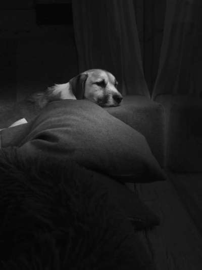 Foto Challenge Nr. 134-Beitrag-Bild