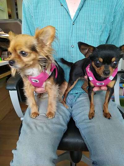 Pullis, Jacken, Hütte und alles sonstiges-Beitrag-Bild