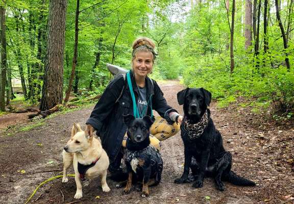 Hundetreffen-Zwei- und Vierbeiner für Wanderungen gesucht-Bild