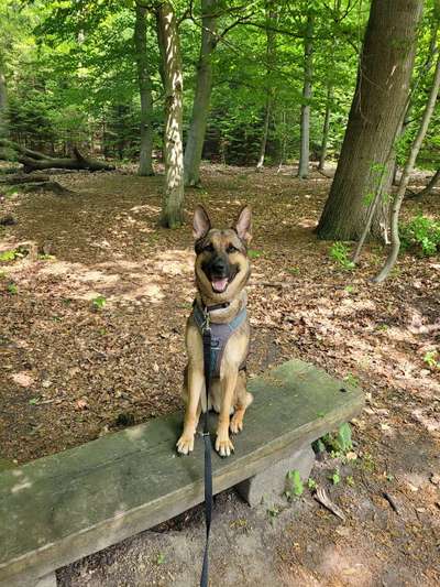 12. Farben Foto Challenge --- Braun-Beitrag-Bild