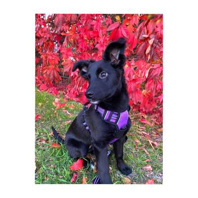 Zeigt eure Portraits-Beitrag-Bild