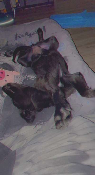 Verrückte Schlafpositionen-Beitrag-Bild