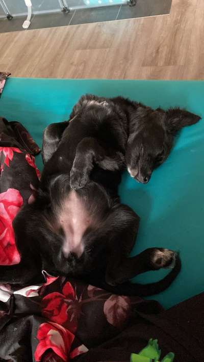 Verrückte Schlafpositionen-Beitrag-Bild