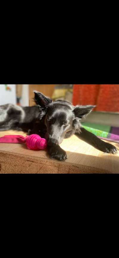 30. Farben Challenge - Pink-Beitrag-Bild