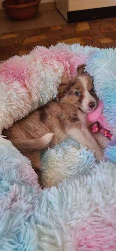 30. Farben Challenge - Pink-Beitrag-Bild