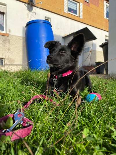 20. Handy -Foto-Callenge-Beitrag-Bild