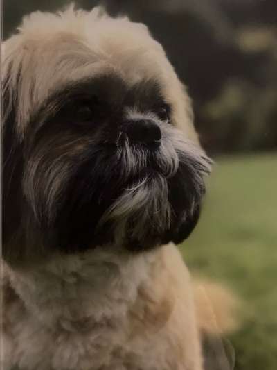 Fotochallange Nr. 57     PORTRÄT.   Beendet!!!!!!!!-Beitrag-Bild