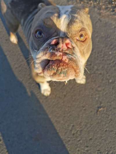 Fotochallange Nr. 57     PORTRÄT.   Beendet!!!!!!!!-Beitrag-Bild