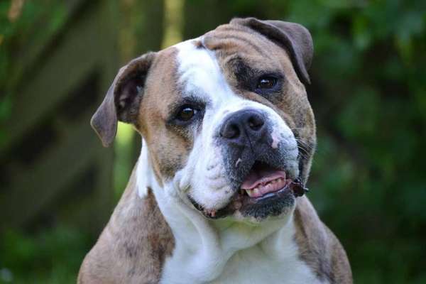 Fotochallange Nr. 57     PORTRÄT.   Beendet!!!!!!!!-Beitrag-Bild