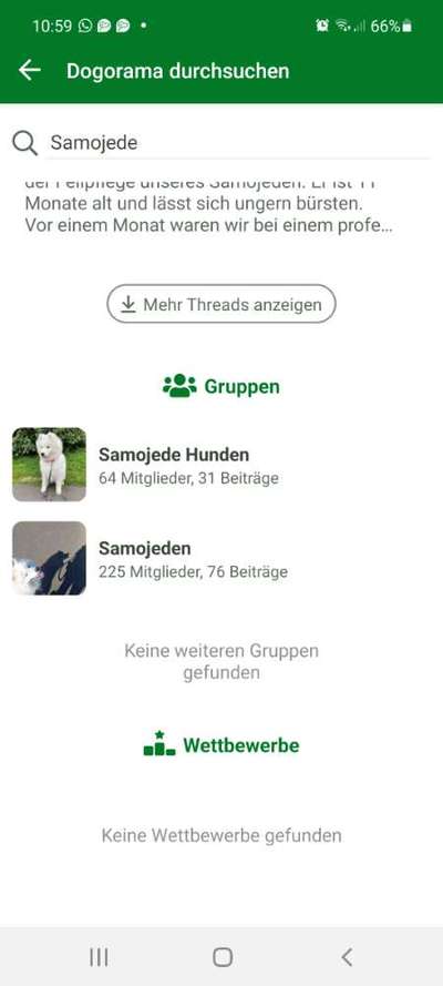 Samojede-Beitrag-Bild