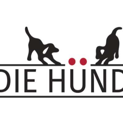 Hundeschulen-Die Hünd-Bild